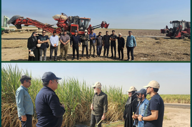 از میدان مین تا مزرعه نیشکر؛ روایت عکاسان از معجزه خوزستان